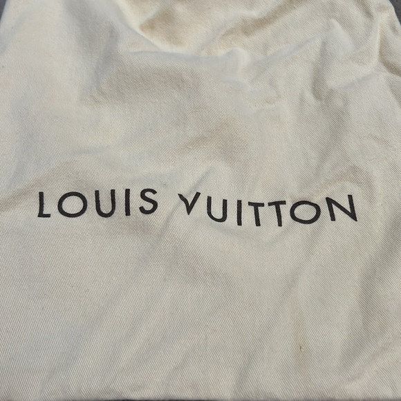Louis Vuitton Dust Bag for purses & etc - Picture 4 of 4